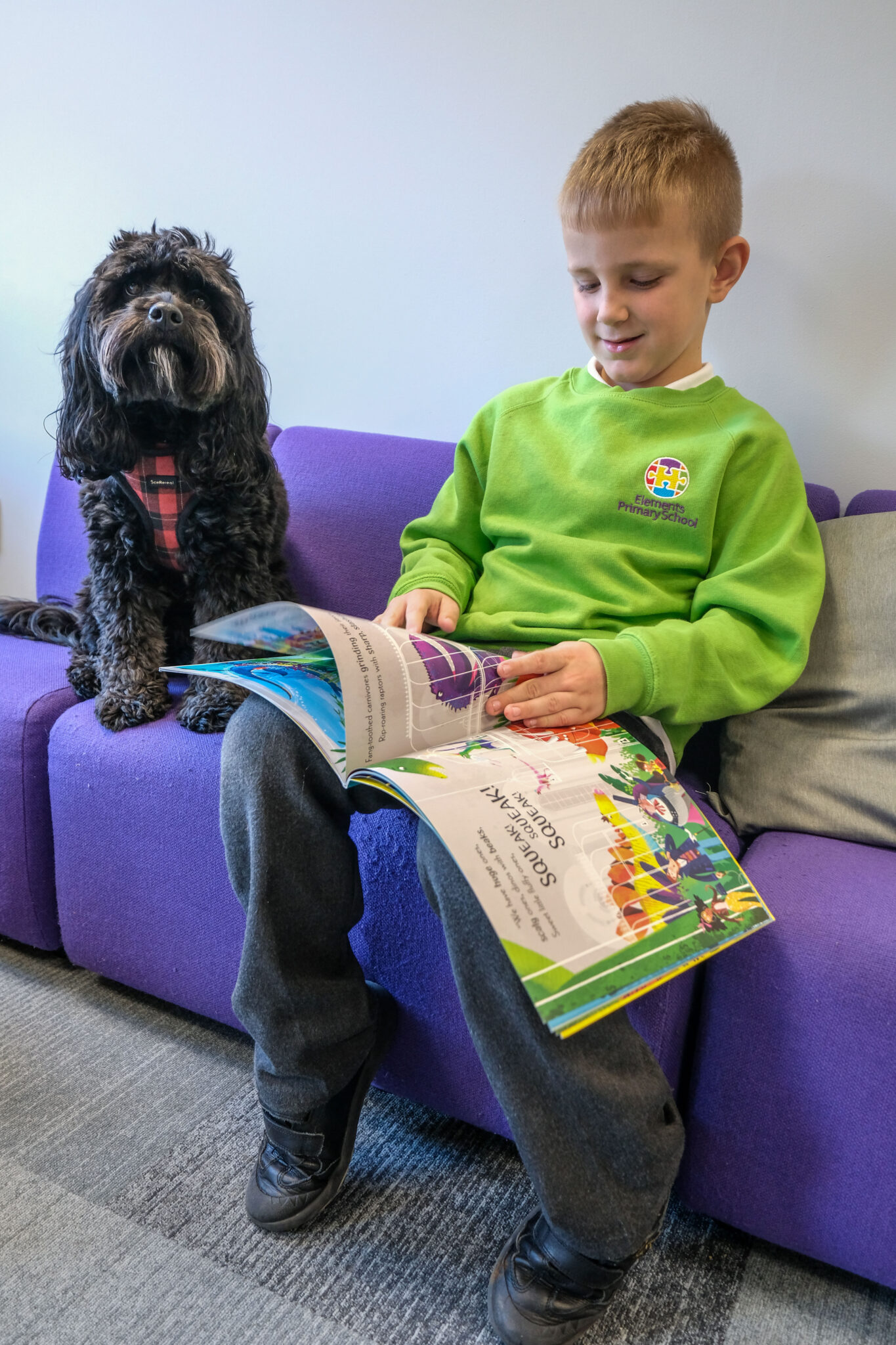 Meet Our School Dog – Elements Primary School